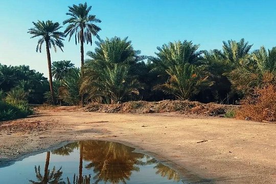 صورة الجولة 1