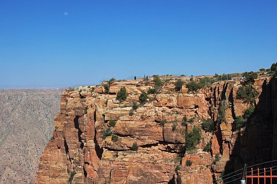 صورة الجولة 5