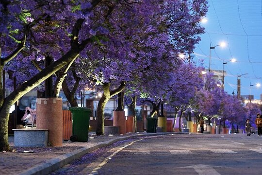 صورة الجولة 12